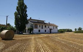 Antico Pioppo